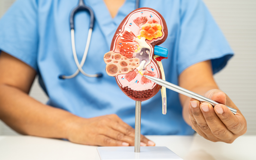 best-urologist-in-gomti-nagar-lucknow-for-advanced-care